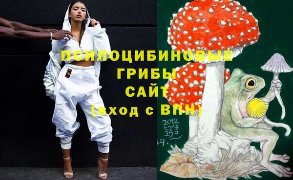меф Богородицк