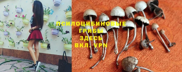 мет Осинники