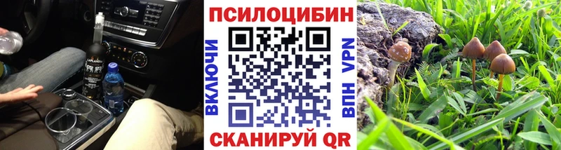 дарнет шоп Бокситогорск Псилоцибиновые грибы Psilocybine cubensis