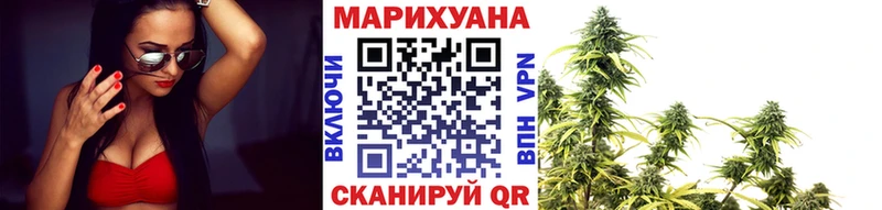 Конопля сатива  где найти   Бокситогорск 